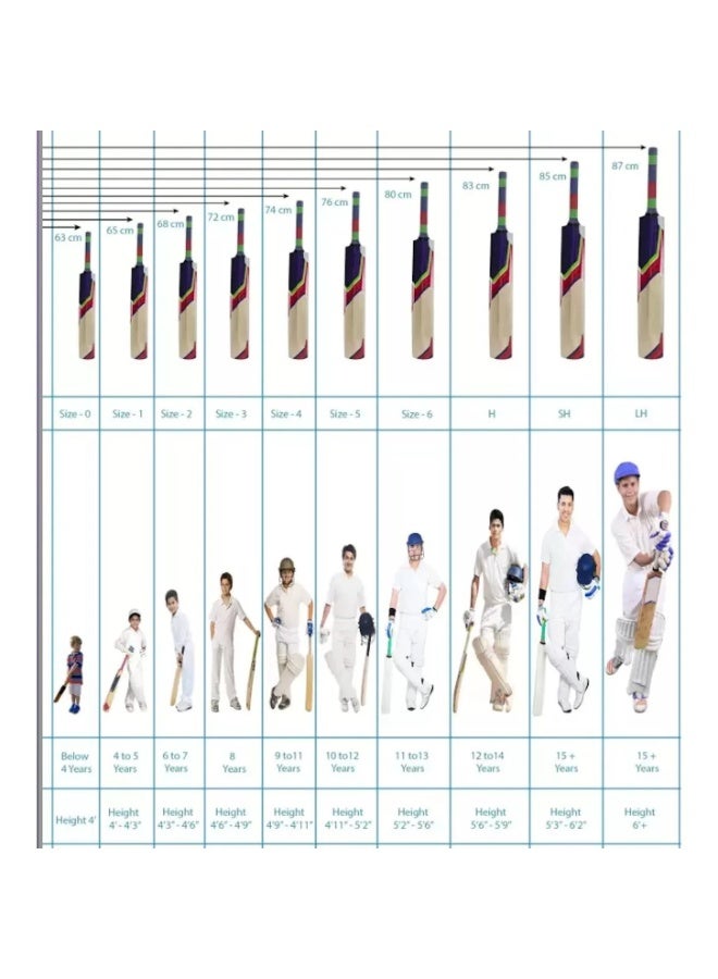 MRF Titan Premium Indian Willow Cricket Bat - Short Hand -SH - Image 5